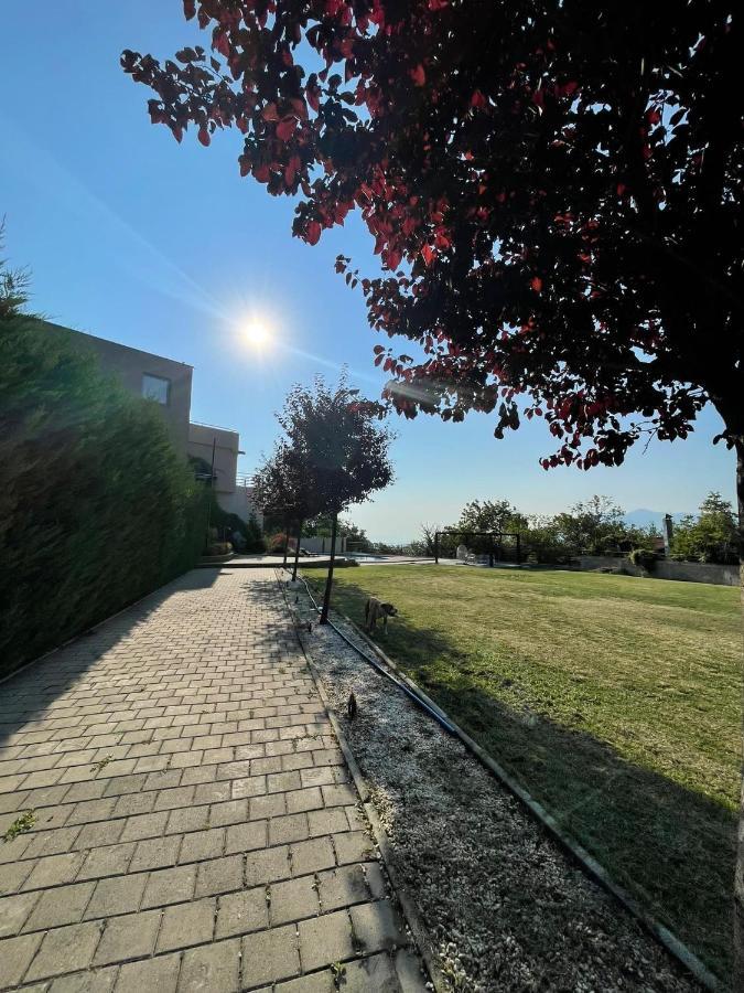 Villa Sunny Side Apartment Skopje Dolno Solnje Exteriör bild