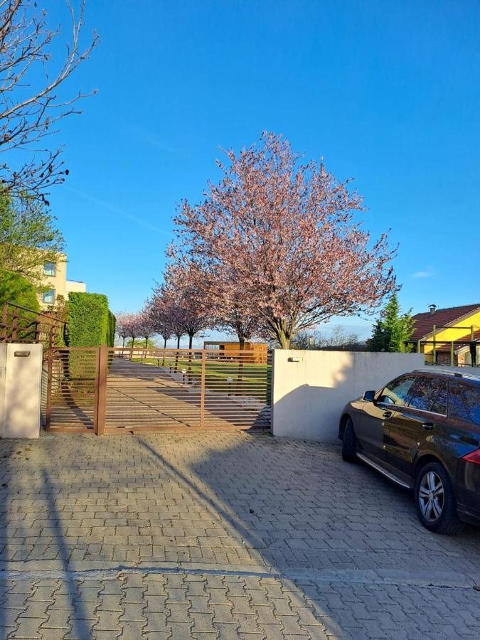 Villa Sunny Side Apartment Skopje Dolno Solnje Exteriör bild